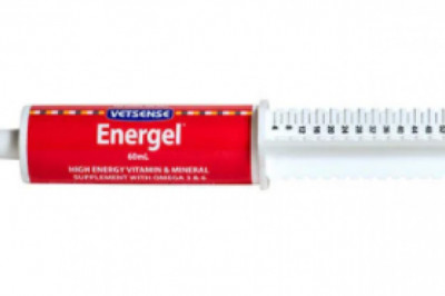 Buy Vetsense Energel for Dogs and Cats  Online - VetSupply
