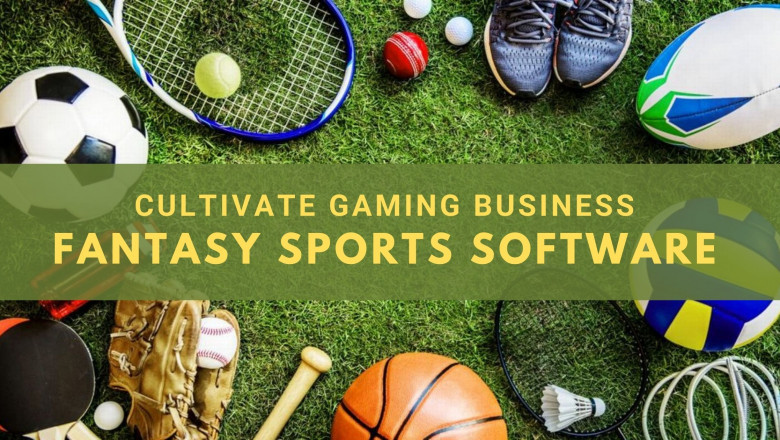 How Fantasy Sports Software can Cultivate Virtual Gaming Business?