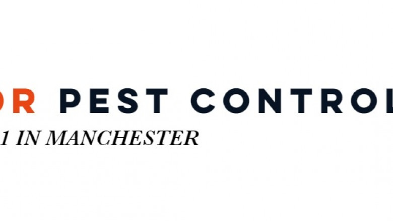 Manchester Pest Control No Further a Mystery