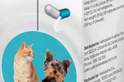 Buy Zylkene Nutritional Supplement For Dogs and Cats Online  - VetSupply