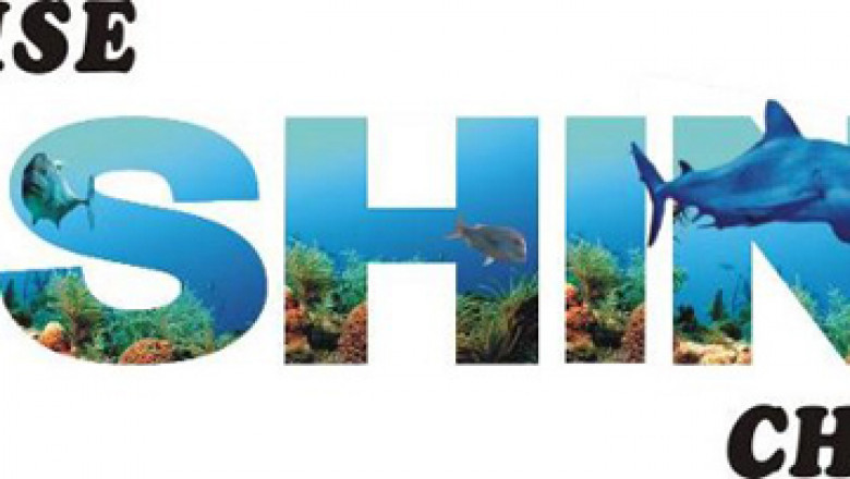 Deep Sea Day Fishing Trips