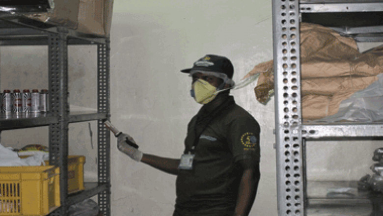 Eco Friendly Pest Control Services