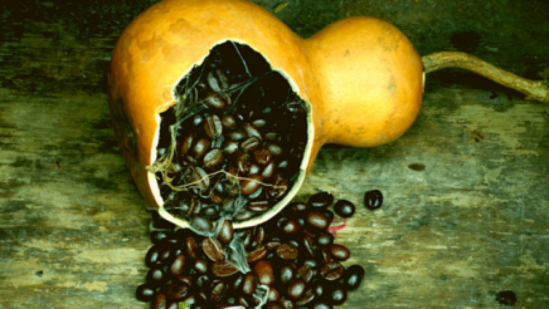 The Benefits of Coconut Oil in Coffee