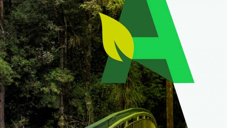 Arboricultural Evaluation Auckland