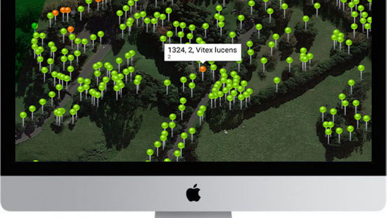 Arborists Report Auckland