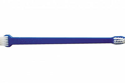 Buy GVP Dual End Toothbrush for Dogs Online - DiscountPetCare
