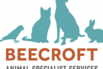 Surgical Veterinary Specialists & Animal clinic services in Singapore