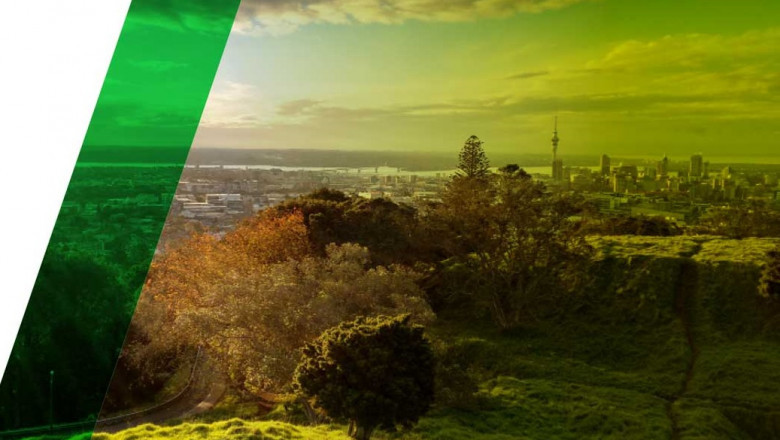 Tree Assessment Auckland