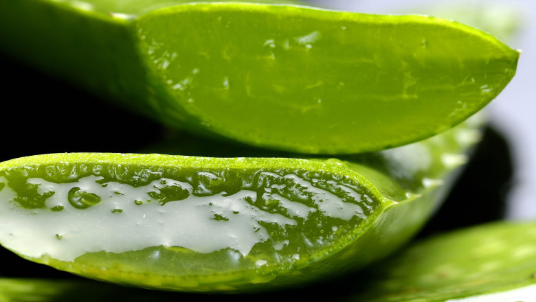 Aloe Vera Extracts Market - Global Industry Report, 2030