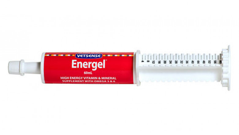 Buy Vetsense Energel For Dogs & Cats Online - DiscountPetCare