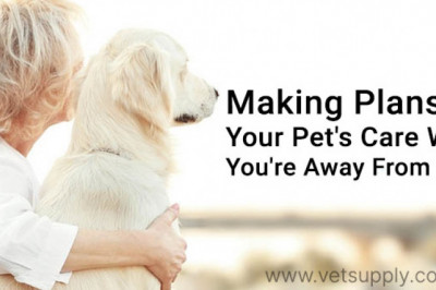 How to take care of your pet when you work full time