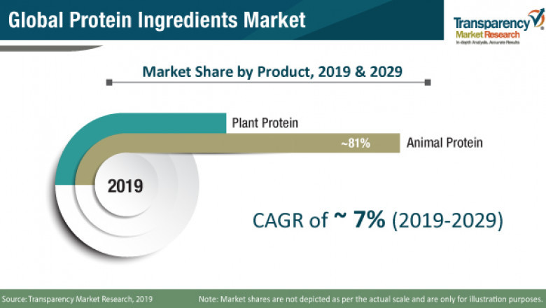 With Growing Fitness Trends Across the World, Protein Ingredients Market to Witness Promising CAGR of ~7% from 2019 to 2029