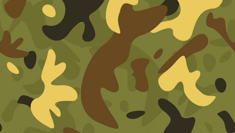 Best Digital Marketing Training in Ahmedabad