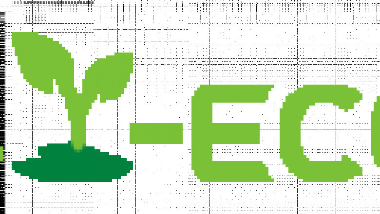 Eco-Friendly Product - Essential's goods exporter in Usa - Dubai