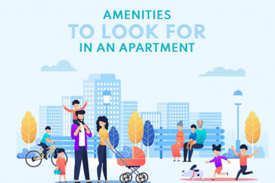 What are Top Amenities that you should consider before buying an apartment?