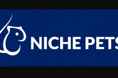 All You need to know About Exotic Pets