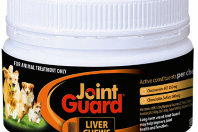 Buy Joint Guard Liver Treats For Dogs Online - DiscountPetCare
