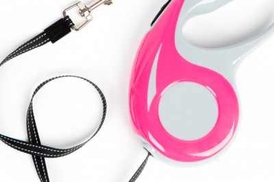 Look Out for Top Notch Leashes for Small and Large Dogs