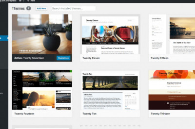 What a WordPress Designer Should Know