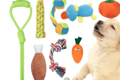 What Are The Best Dog Toys For 2021?