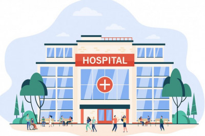 Hospital IT Director Email List