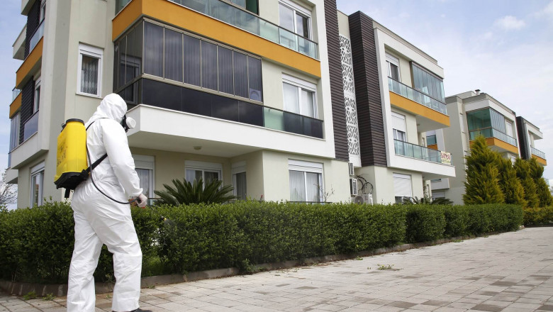 Pest Control Service & Pest Extermination Company in Ottawa