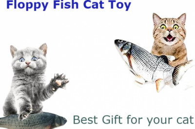 Floppy Fish Cat Toy: Does Your Cat Like Floppy Fish Toy?