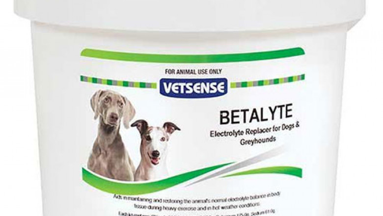 Buy VetSense Betalyte Powder For Dogs Online - DiscountPetCare