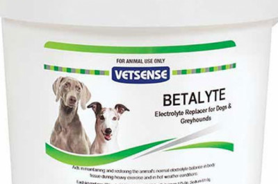 Buy VetSense Betalyte Powder For Dogs Online - DiscountPetCare