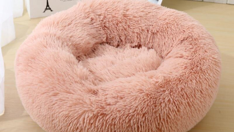 Découvrez la Boutique de bijoux pour chat ici