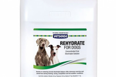 Buy Vetsense Rehydrate Dietary Supplements For Dogs Online - DiscountPetCare