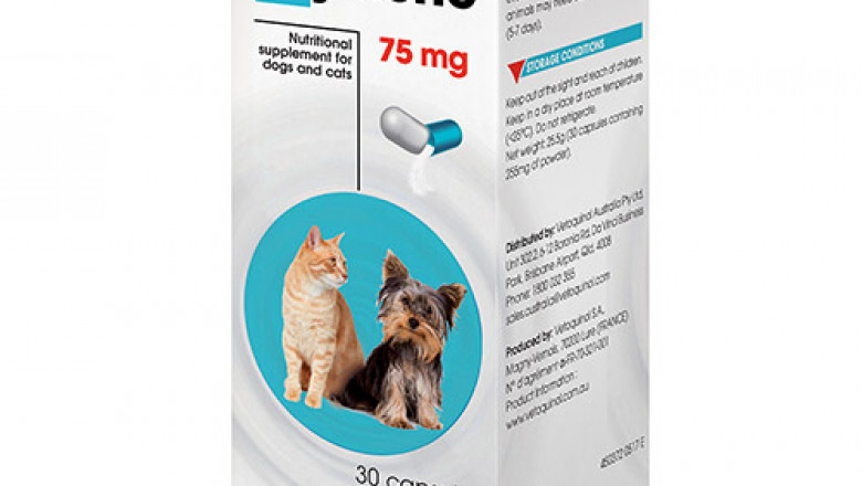 Buy Zylkene For Dogs and Cats Online - DiscountPetCare
