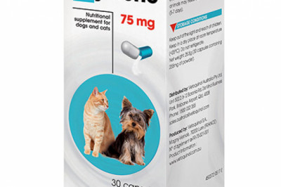 Buy Zylkene For Dogs and Cats Online - DiscountPetCare