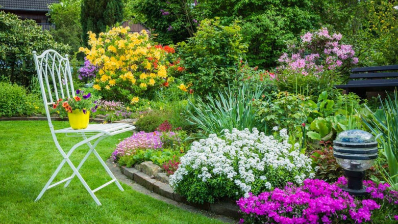 Gardening in Dubai - #1 Dubai Landscaping Companies In UAE