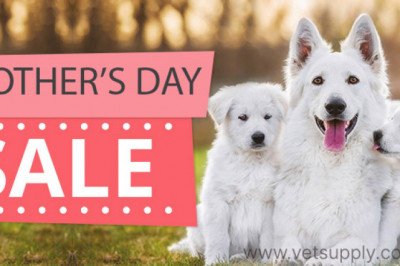 Mother’s Day Sale on Pet Supplies