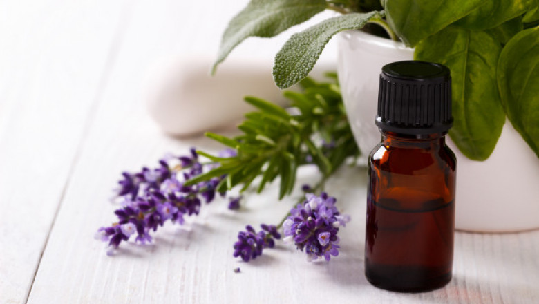 Top 10 essential Oil you must know