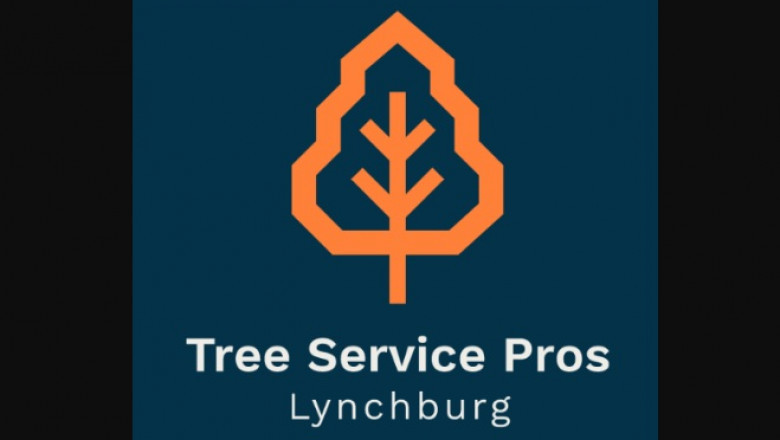 Value of Getting a Tree Service