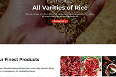 Website Design Service Chennai