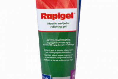 Buy Rapigel Muscle & Joint Relieving Gel For Dogs and Horses Online
