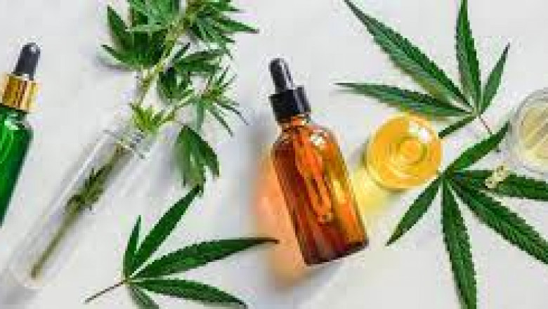 What You Need To Know Before Using CBD Oil