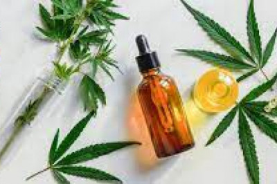 What You Need To Know Before Using CBD Oil