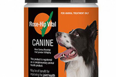 Buy Rose-Hip Vital Canine Powder For Dogs Online - DiscountPetCare