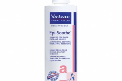 Buy Epi-Soothe Shampoo For Dogs Online - DiscountPetCare