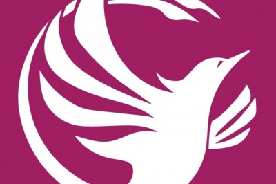 Phoenix Virtual Solutions