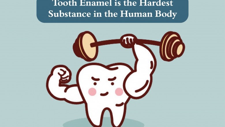 Tooth Enamel | Emergency Dentist in United States