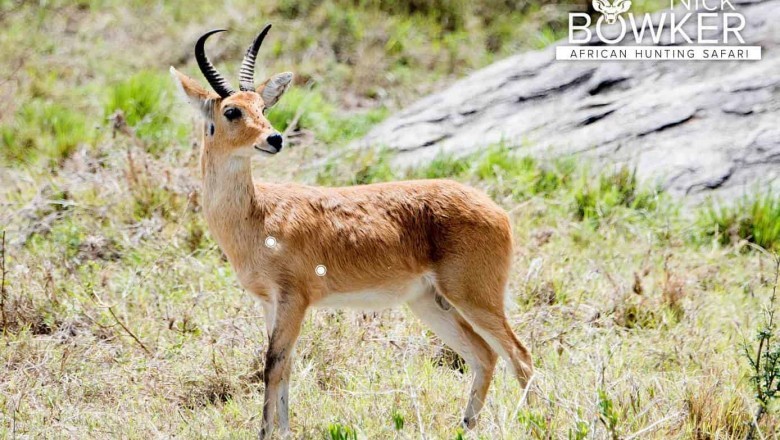 Trophy hunting South Africa