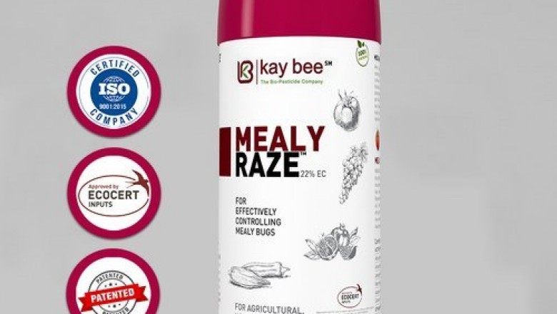 Best herbal-based bio-pesticide for Mealy bugs control | Mealy Raze | Kay Bee Bio Organics