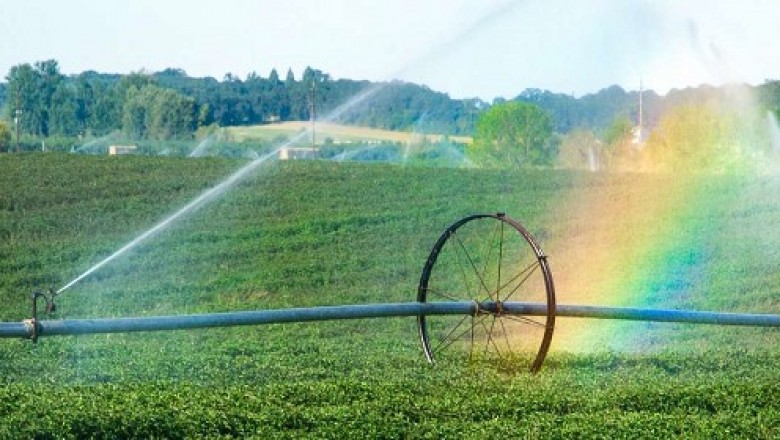 Agricultural Biologicals Market–Sustainable Products