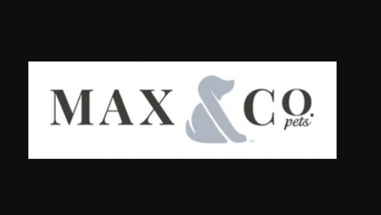 Dog Collars - What You need to Know