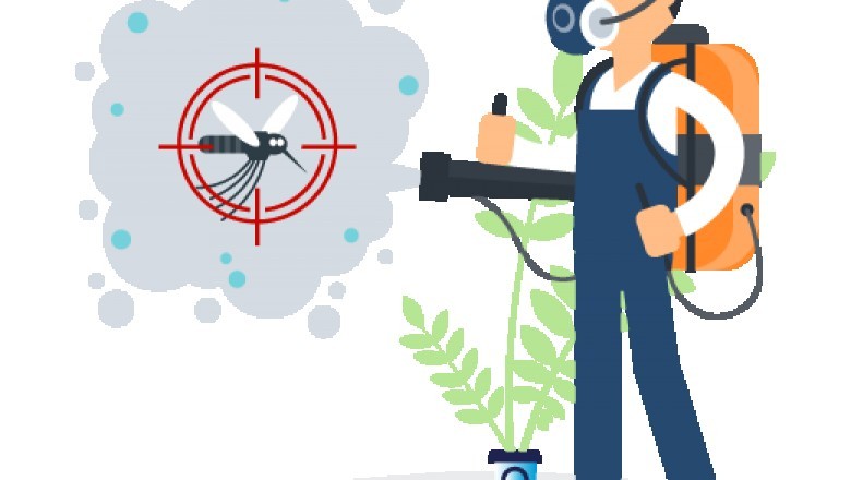 Professional Pest Control in Bellevue Hill